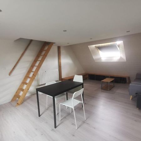 Appartement Mezzanine Aux Portes De Rennes 维金勒科吉特 外观 照片