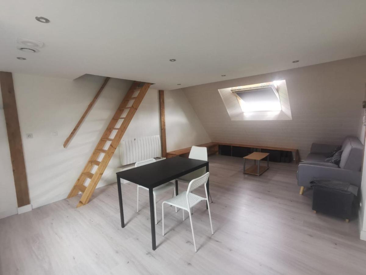 Appartement Mezzanine Aux Portes De Rennes 维金勒科吉特 外观 照片